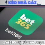 Sự Thật Bet365 Bị Tố Treo Cược Có Thật Hay Không? 13 Sự Thật Bet365 Bị Tố Treo Cược Có Thật Hay Không?